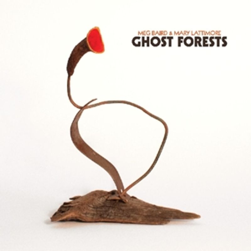 Baird,Meg & Lattimore,M. - Ghost Forests