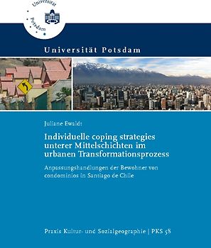 Individuelle coping strategies unterer Mittelschichten im urbanen Transformationsprozess