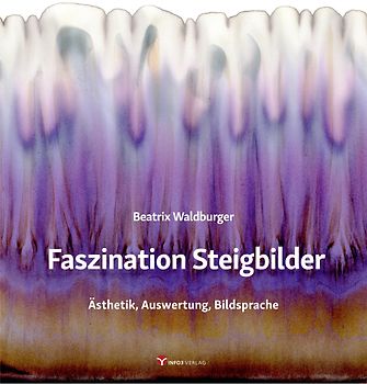 Faszination Steigbilder