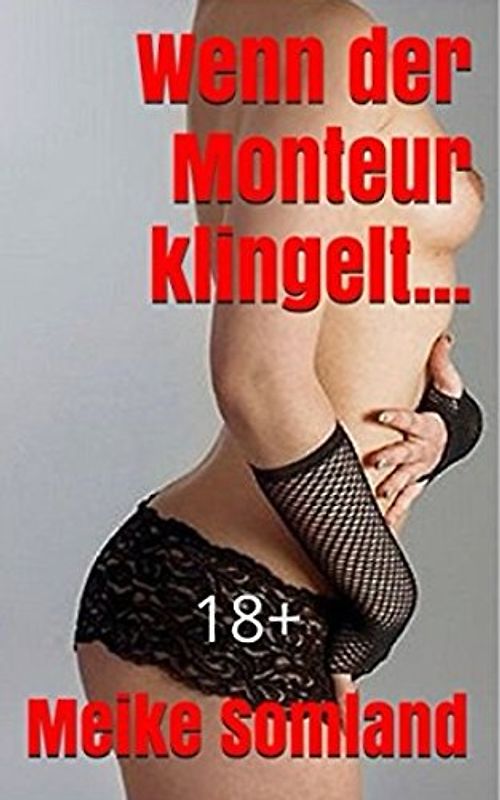 Wenn der Monteur klingelt...: 18+