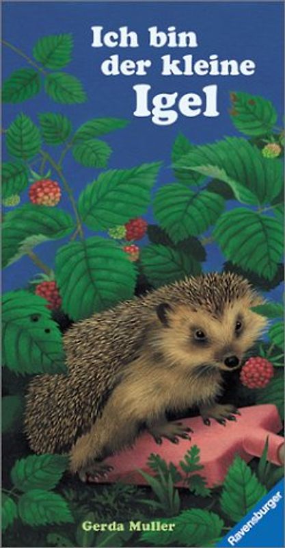 Ich bin der kleine Igel. Mit neuer Rechtschreibung