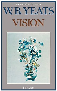 Vision