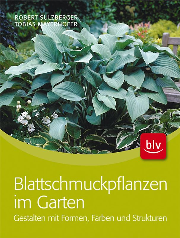 Blattschmuckpflanzen im Garten