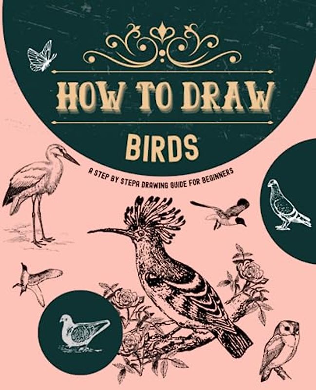 How to draw Bugs & Birds: A Step By Step Drawing Guide For Beginners | Learn to draw birds, hummingbird, eagle, sparrow...and more| (How to draw Step by Step, Band 5)