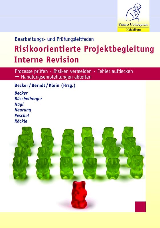 Bearbeitungs- und Prüfungsleitfaden Risikoorientierte Projektbegleitung Interne Revision