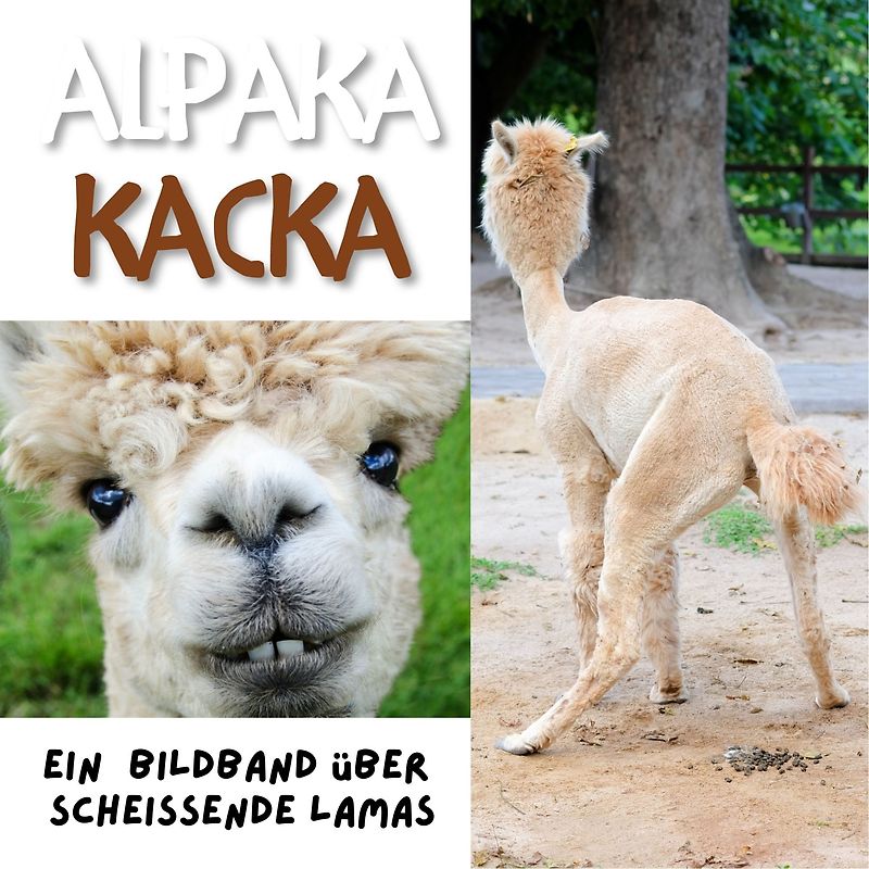 Alpaka Kacka