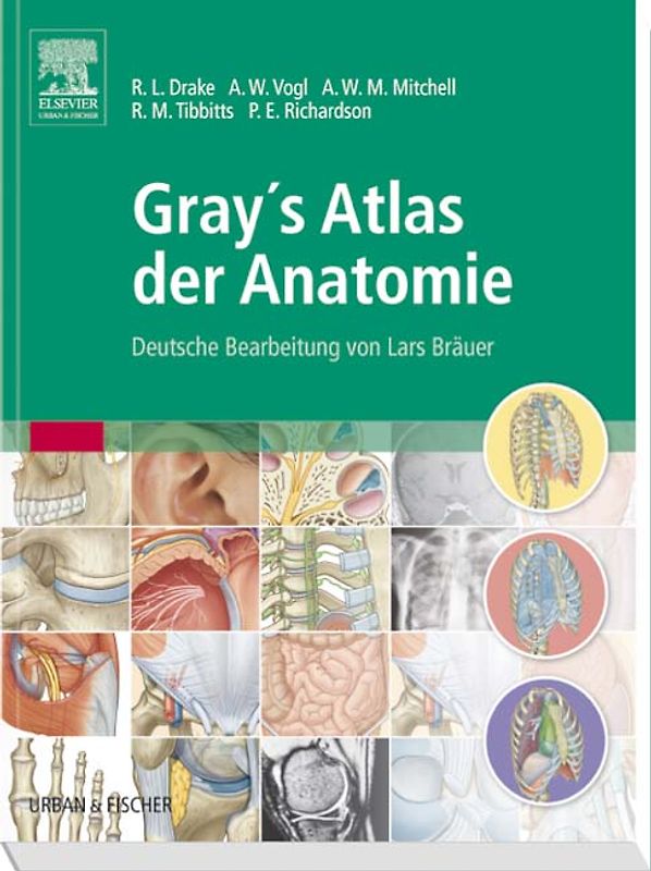Gray's Atlas der Anatomie