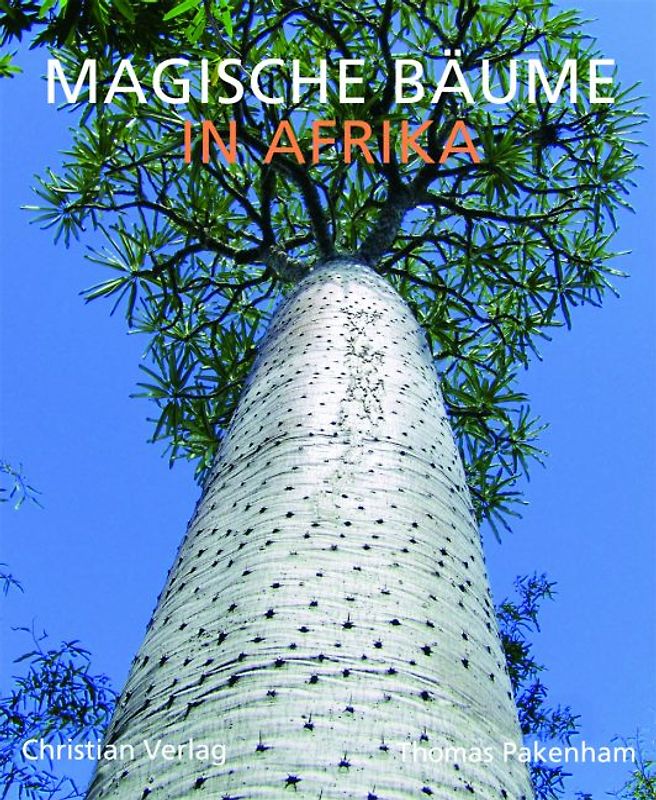 Magische Bäume