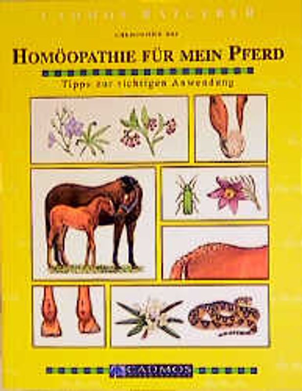 Homöopathie für mein Pferd. Tipps zur richtigen Anwendung