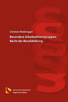 Besondere Arbeitnehmergruppen, Recht der Berufsbildung