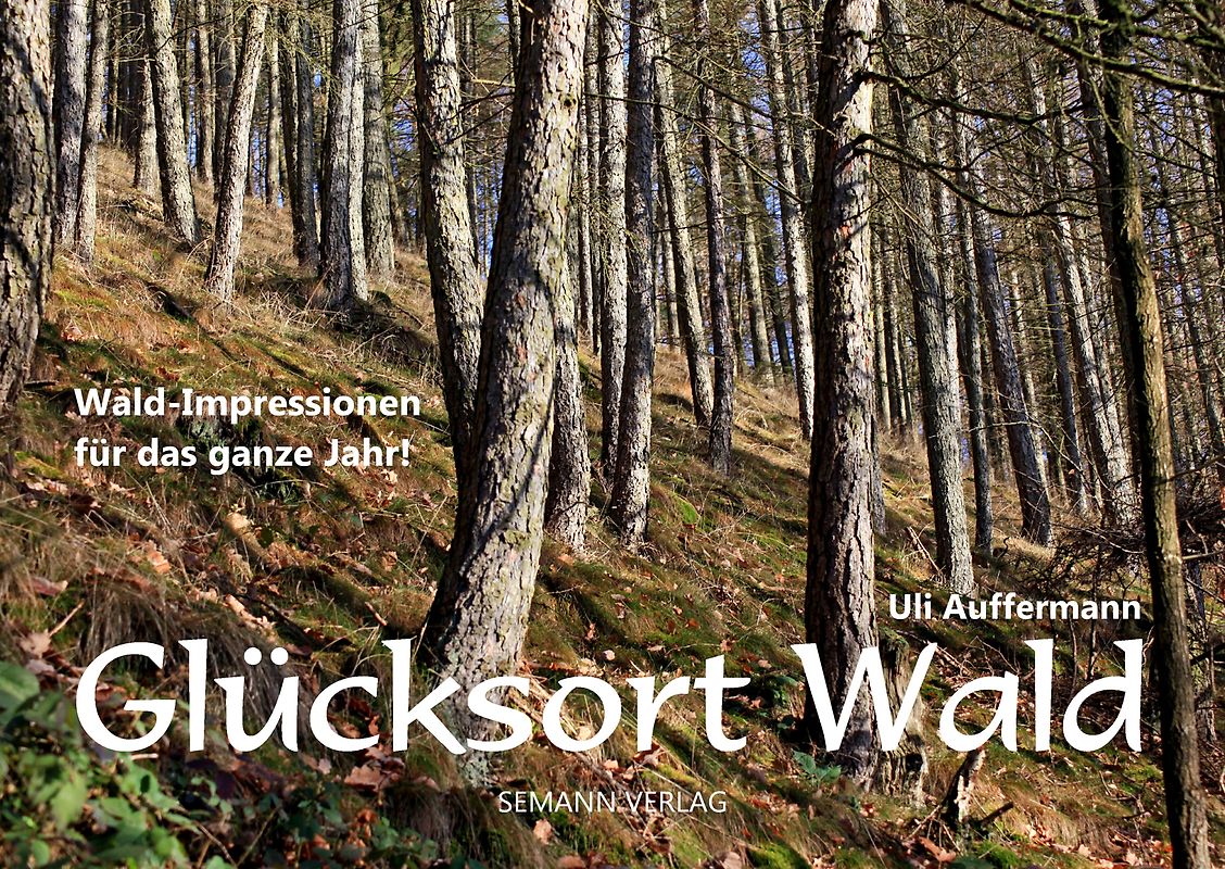 Glücksort Wald (Jahresbegleiter, DIN A5)