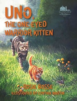 Uno the One-Eyed Warrior Kitten