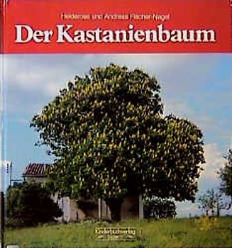 Der Kastanienbaum