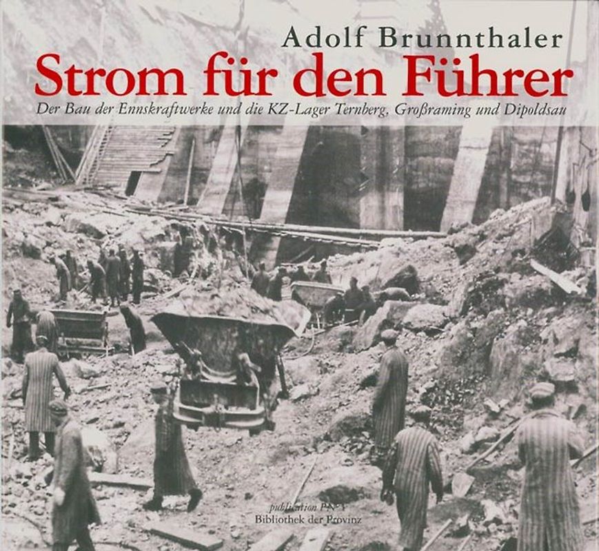 Strom für den Führer. Betrachtungen