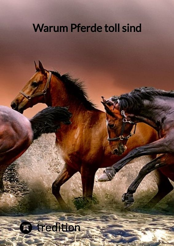 Warum Pferde toll sind