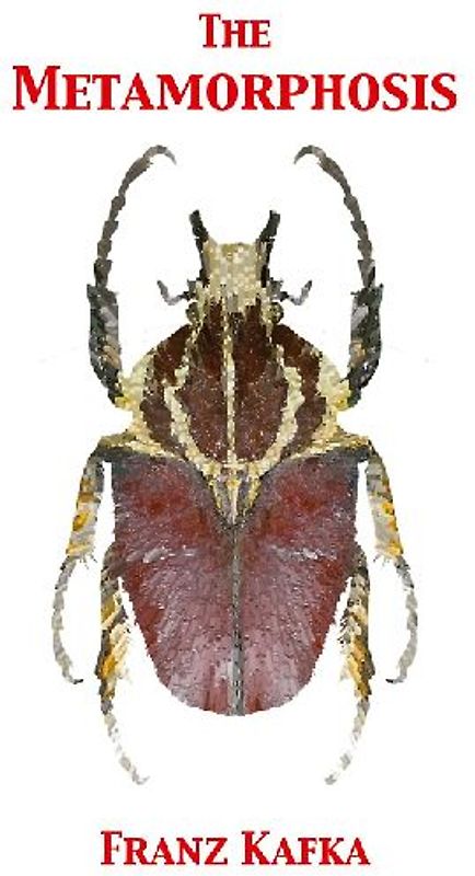 The Metamorphosis