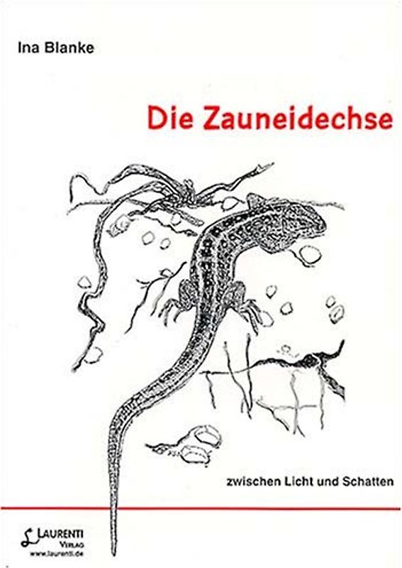 Die Zauneidechse