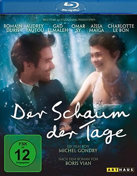 Schaum Der Tage,Der/Special Edition Blu-ray Disc