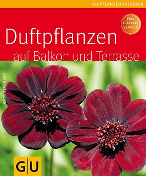 Duftpflanzen für Balkon und Terrasse