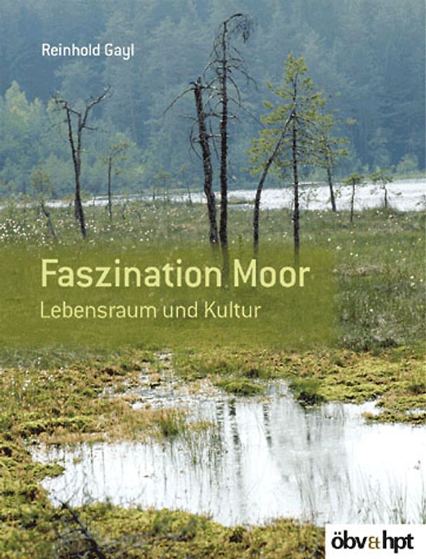 Faszination Moor