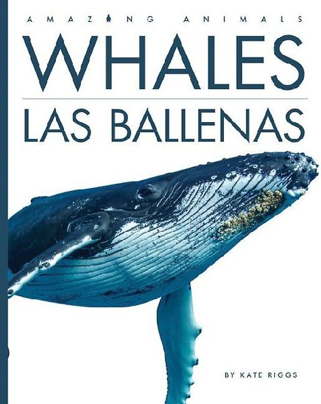 Whales / Las Ballenas