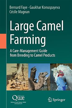 Large Camel Farming