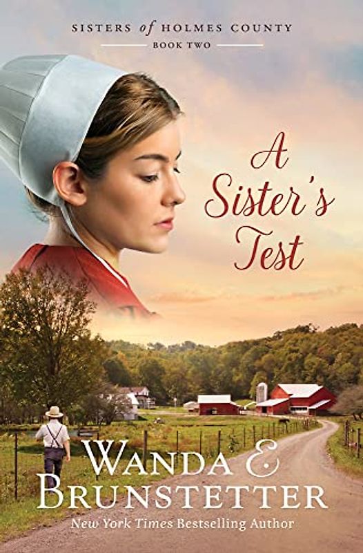 A Sister's Test: Volume 2 (The Sisters of Holmes County, 2)