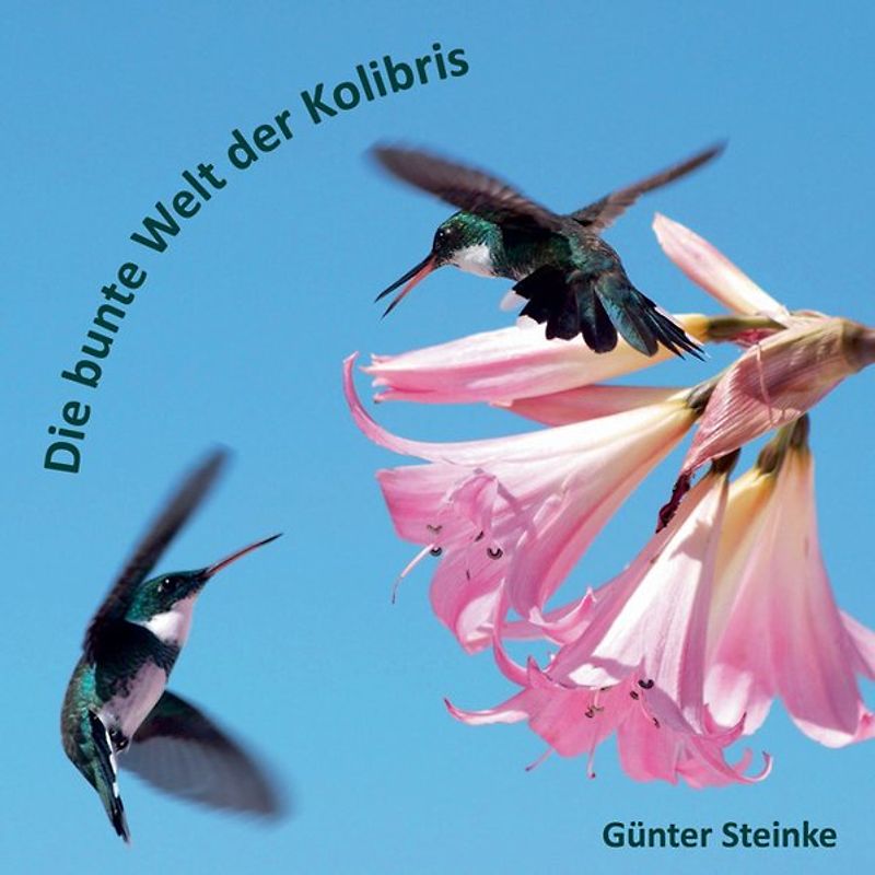 Die bunte Welt der Kolibris