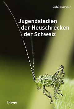 Jugendstadien der Heuschrecken der Schweiz
