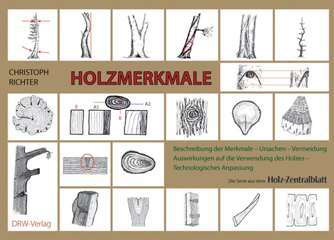 Holzmerkmale
