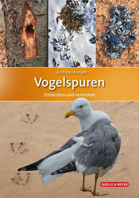 Vogelspuren