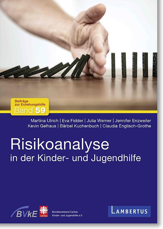 Risikoanalyse in der Kinder- und Jugendhilfe