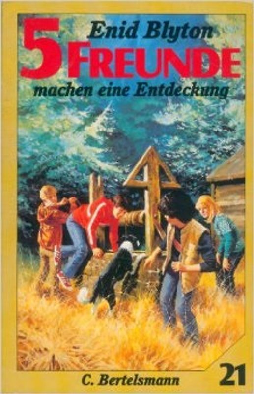 5 Freunde machen eine Entdeckung. Taschenbuchausgabe