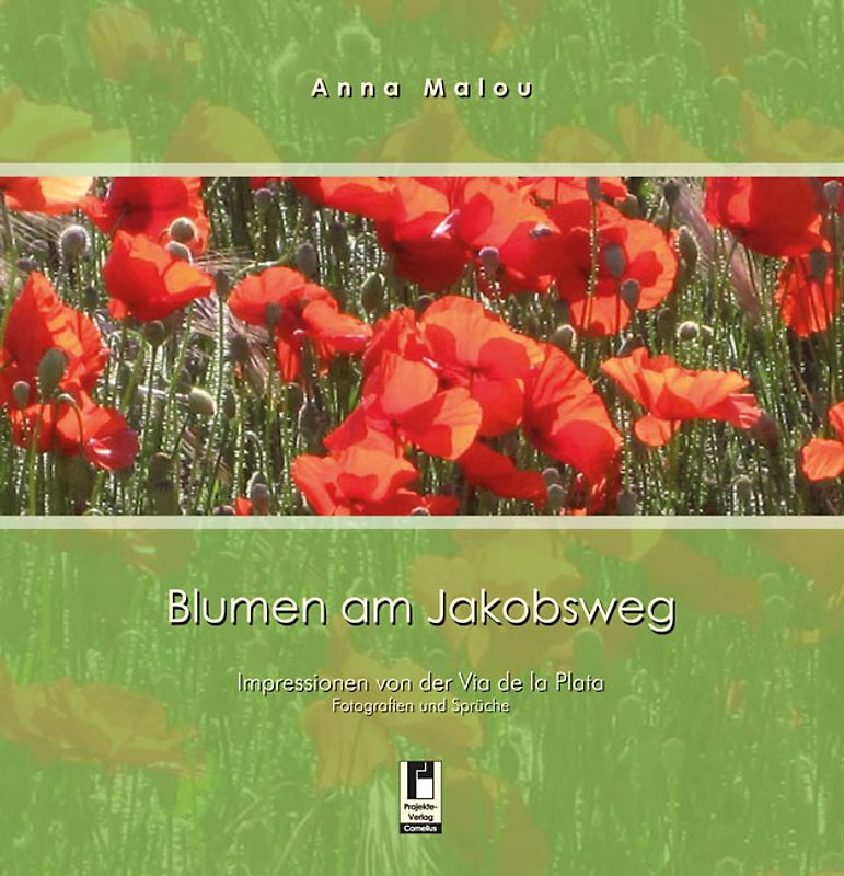 Blumen am Jakobsweg