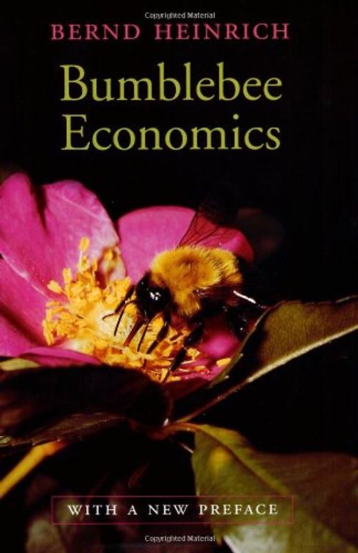 Bumblebee Economics: Revised Edition