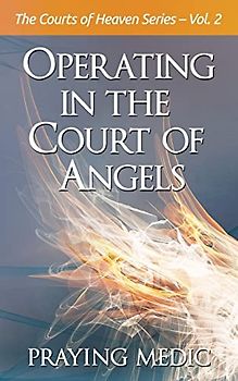 Operating in the Court of Angels (The Courts of Heaven, Band 2)
