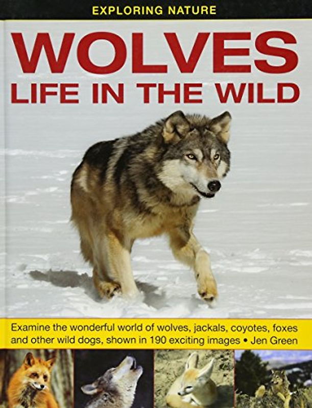 Exploring Nature: Wolves - Life in the Wild
