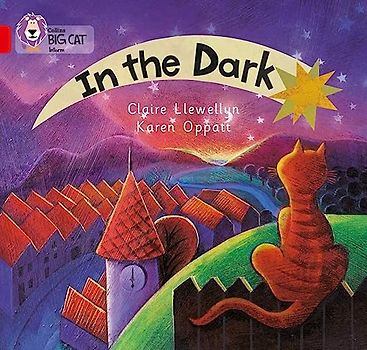 In the Dark: A patterned non-fiction text with atmospheric illustrations to show what happens in the dark. (Collins Big Cat)