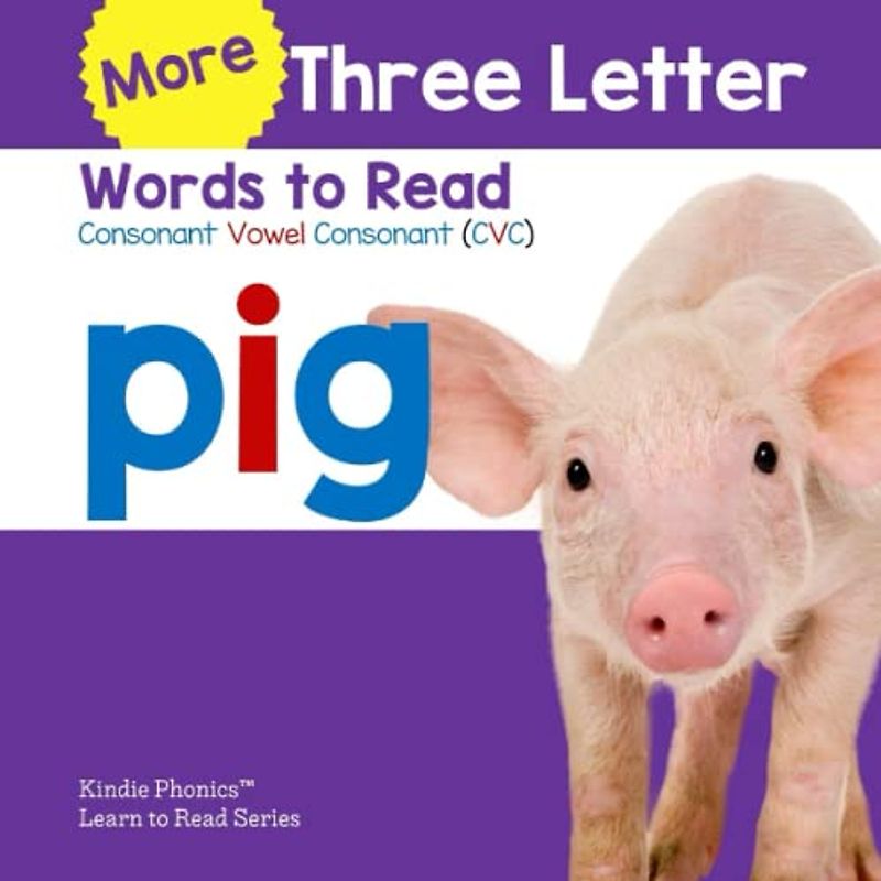More Three Letter Words to Read: Consonant Vowel Consonant (CVC)