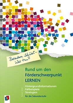 Rund um den Förderschwerpunkt Lernen