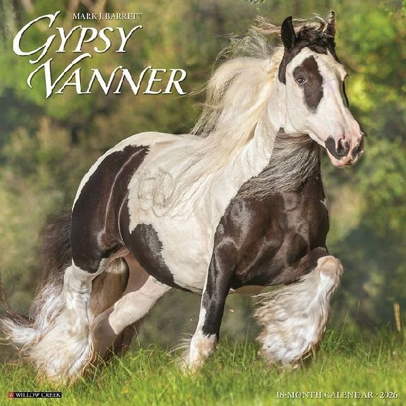 Gypsy Vanner Horse 2026 12 X 12 Wall Calendar