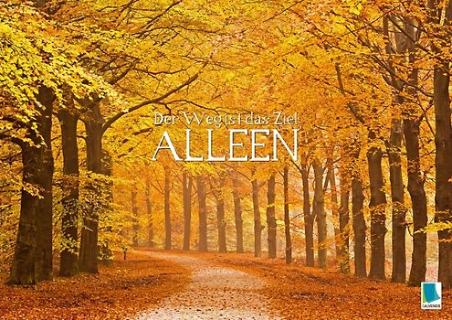 Der Weg ist das Ziel – Alleen (Posterbuch DIN A4 quer)