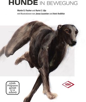 Hunde in Bewegung