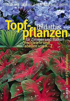 Topfpflanzen