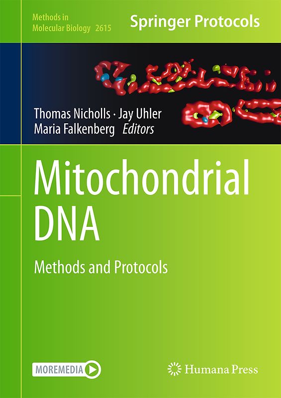 Mitochondrial DNA
