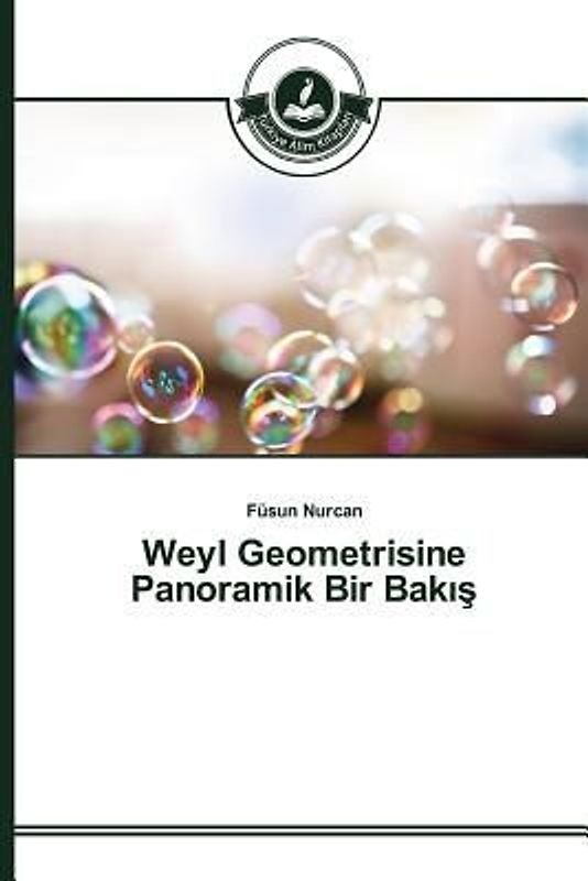 Weyl Geometrisine Panoramik Bir Bak¿¿