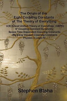 The Origin of the Eight Coupling Constants of The Theory of Everything