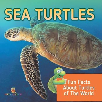 Sea Turtles