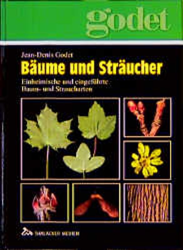 Bäume und Sträucher