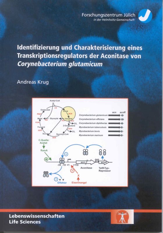 Identifizierung und Charakterisierung eines Transkriptionsregulators der Aconitase von Corynebacterium glutamicum